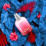 AGUA DE AMOR AMOR EAU DE TOILETTE 50 ML - Image 3