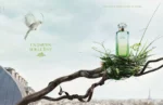 UN JARDIN SUR LE TOIT EAU DE TOILETTE 100 ML - Image 2