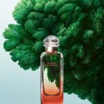 UN JARDIN SUR LA LAGUNE EAU DE TOILETTE 100 ML - Image 2